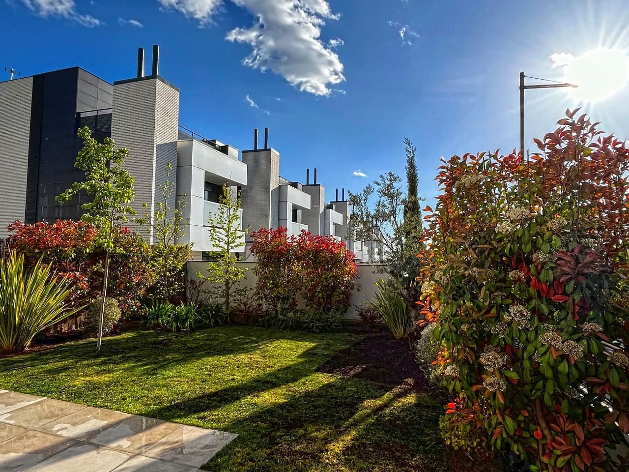 ACOGEDOR (proyecto4)